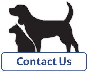 Contact Our Veterinarian 